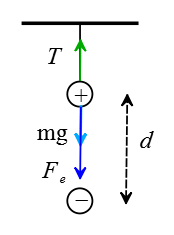 Free-body diagram for a point charge attached to a vertical string